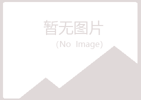 子洲县夏日工程有限公司